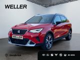 Seat Arona 1.0 TSI DSG Xperience *Navi*LED*CarPlay*CA - Seat Arona: Xperience