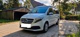 Mercedes-Benz V Klasse 250 D Marco Polo mit Küche Lang - Klasse m Wohnwagen gebraucht