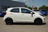 Kia Picanto 1.0 Edition 7 Sitzheizung Lenkradheizung - Kia Picanto Gebrauchtwagen in Dresden
