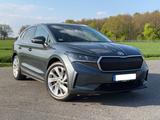Skoda Enyaq iV 80 - Matrix, AHK, Travel Assist, SoH91% - Skoda Enyaq: Iv
