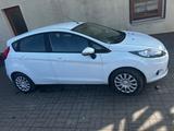 Ford Fiesta 1,3 51 kW White Magic White Magic