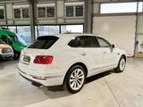 Bentley Bentayga 6.0 W12*PANO*608PS*4x4*360°*FULL - Bentley Bentayga in Essen