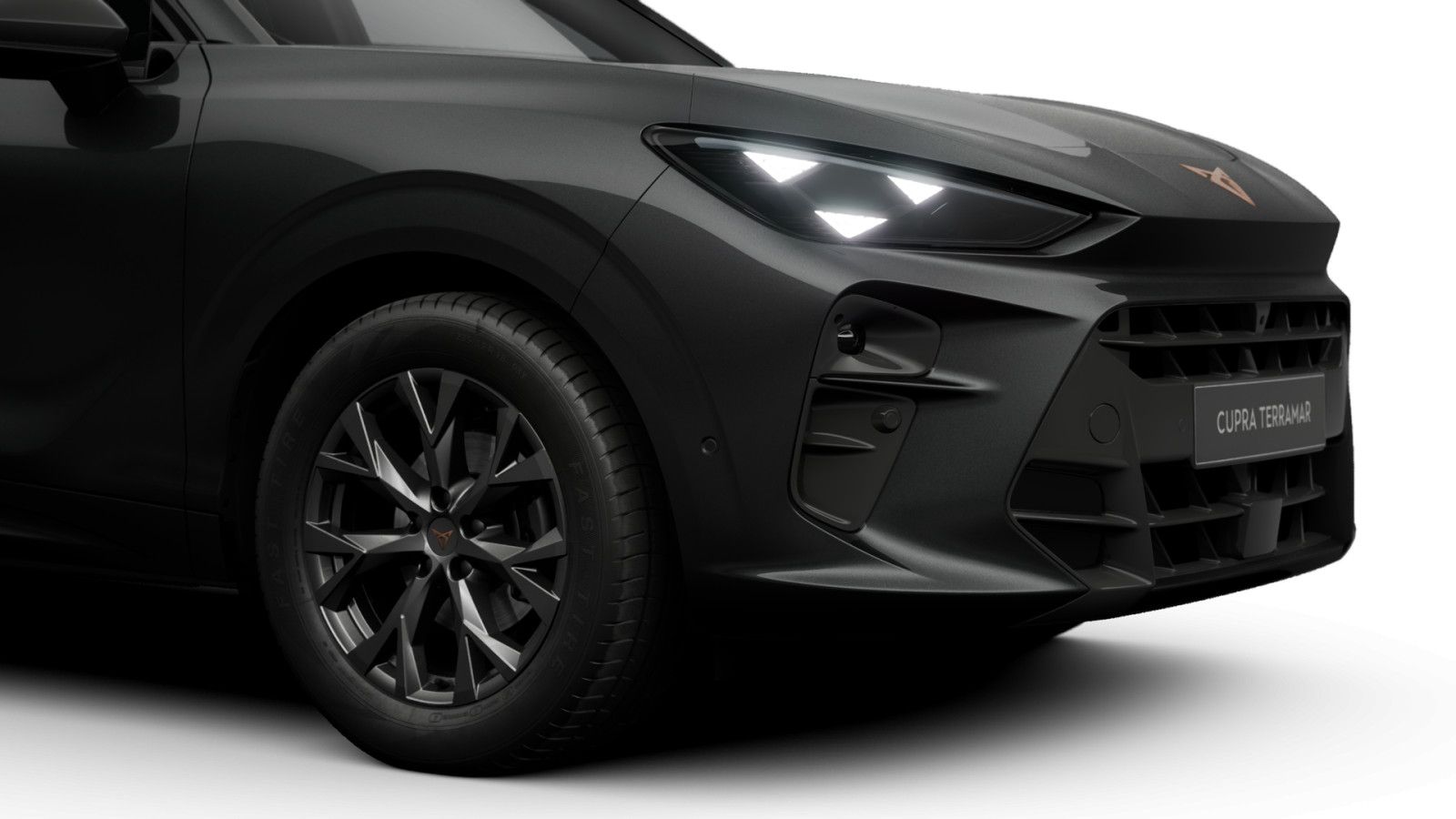 Cupra Terramar - Bild 4