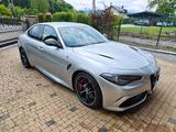 Alfa Romeo Giulia 2.9 V6 Bi-Turbo 375 kW AT8 Quadrifogl... - Alfa Romeo Giulia V6 Gebrauchtwagen