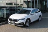 Skoda Octavia Combi Scout 1.5 TSI - Skoda Octavia Scout mit Benzin-Antrieb