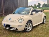Volkswagen Beetle Cabrio  - Volkswagen Beetle: Beige