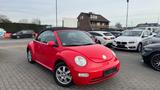 Volkswagen New Beetle Cabriolet 1.4 | TÜV/AU 08/2026 - rote Volkswagen New Beetle