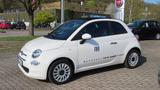 Fiat 500 Cabrio Lounge Hybrid 70 PS Weiss-Schwarz - Fiat 500: Weis