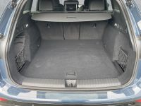 Audi SQ6 e-tron - Vorschau Bild 14