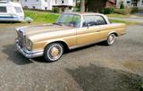 Mercedes-Benz 220 - Mercedes-Benz 220 mit Benzin-Antrieb: Leder