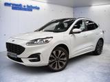 Ford Kuga 2.5 Duratec PHEV ST-LINE X *ACC*AHK*PANO*