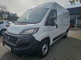 Fiat Ducato 33 L2H2 ALLWETTER|KLIMA - Angebote entsprechen deinen Suchkriterien