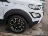 Ford Ecosport 1.0 EcoBoost Active B&O Navi RüKa Sitzh - Ford EcoSport Active mit Benzin-Antrieb