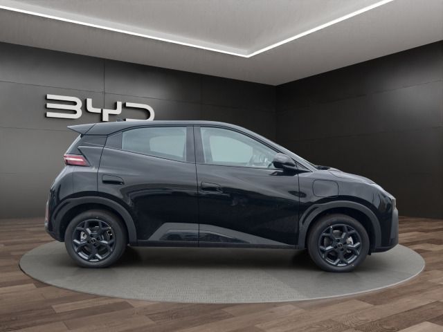 BYD DOLPHIN SURF