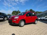 Fiat Panda Neues Modell 1.0 *5 Sitzer Klima PDC DAB* - Fiat Panda: Sitzer