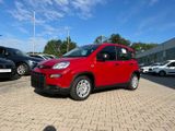 Fiat Panda Neues Modell 1.0 *5 Sitzer Klima PDC DAB* - Fiat Panda: Sitzer