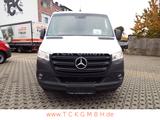 Mercedes-Benz SPRINTER 316 CDI LANG, KLIMA, KAMERA, KÜHL-FRIGO - Angebote