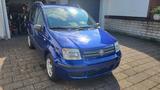 Fiat Panda 169 Klima Servo 1,2 60PS - Fiat Panda: Ps