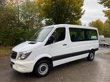 Mercedes-Benz Sprinter 313 CDI MIXTO L2H1*KLIMA*PDC*AHK*1.Hand - Angebote