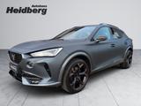 Cupra Formentor 2.0 TSI VZ AHK PANO LEDER COPPER MATT - Cupra Formentor Matt Gebrauchtwagen
