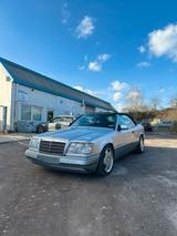 Mercedes-Benz Mercedes E320 W124 Cabrio / AMG - Mercedes-Benz E 320: AMG