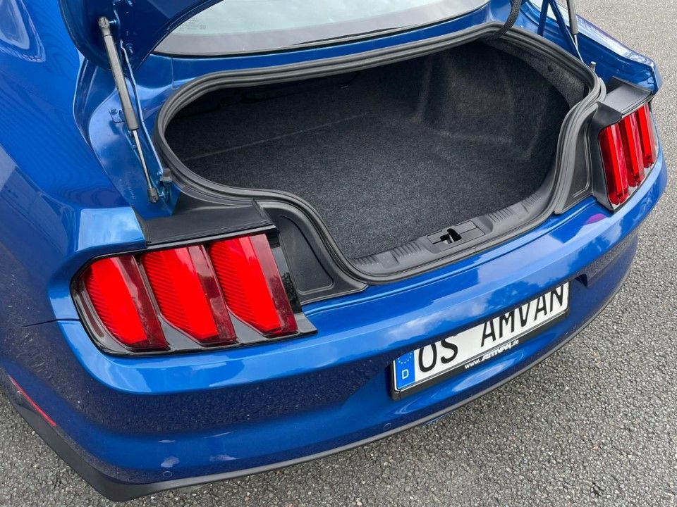 Fahrzeugabbildung Ford Mustang 2.3 Leder Kamera Klima Sitze usw.