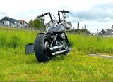 Harley-Davidson Softail Custom FXSTC - HARLEY-DAVIDSON SOFTAIL CUSTOM