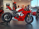 Ducati Panigale V4 R aus 1. Hand wie Neu - DUCATI PANIGALE V4 R