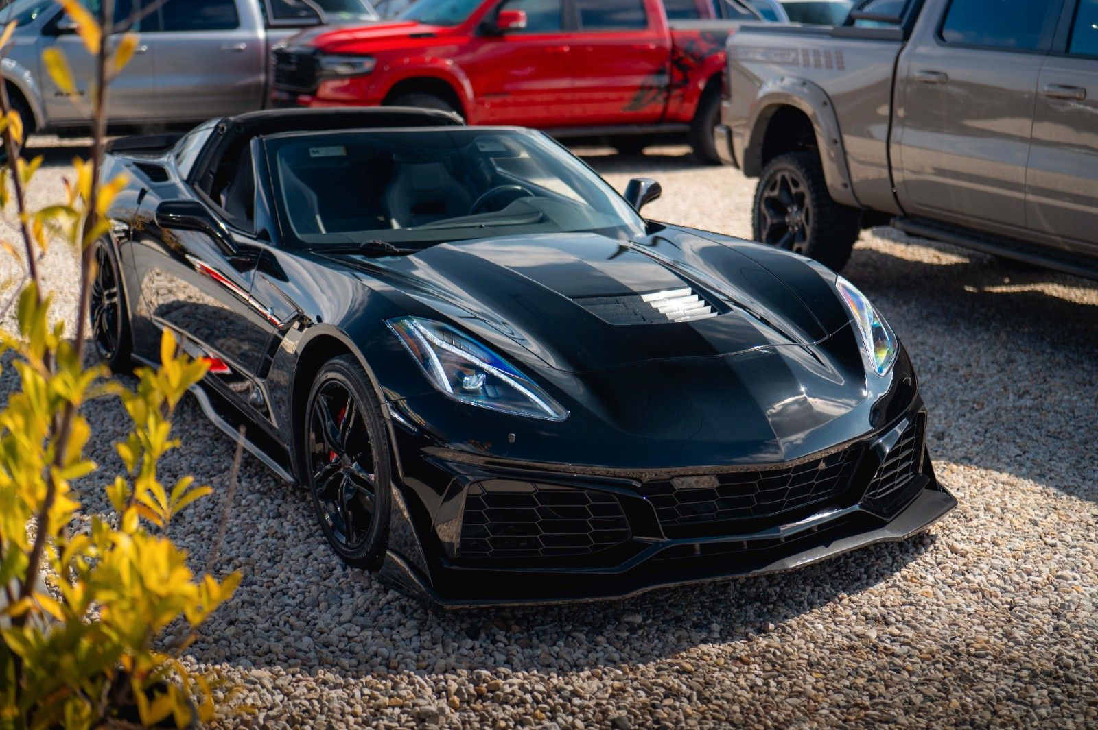 Fahrzeugabbildung Corvette C7 6.2 V8 Stingray Z06-Design Targa Performance