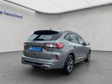 Ford Kuga 2.0 EcoBlue Aut. ST-LINE - Ford Kuga mit Diesel-Antrieb: Geländewagen, Automatik
