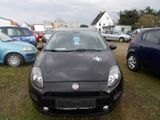 Fiat Punto 1.4i  - 8V Start&Stopp EASY - Fiat Punto aus 2013