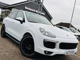 Porsche Cayenne Diesel Platinum Edition - Porsche Gebrauchtwagen in Lübeck