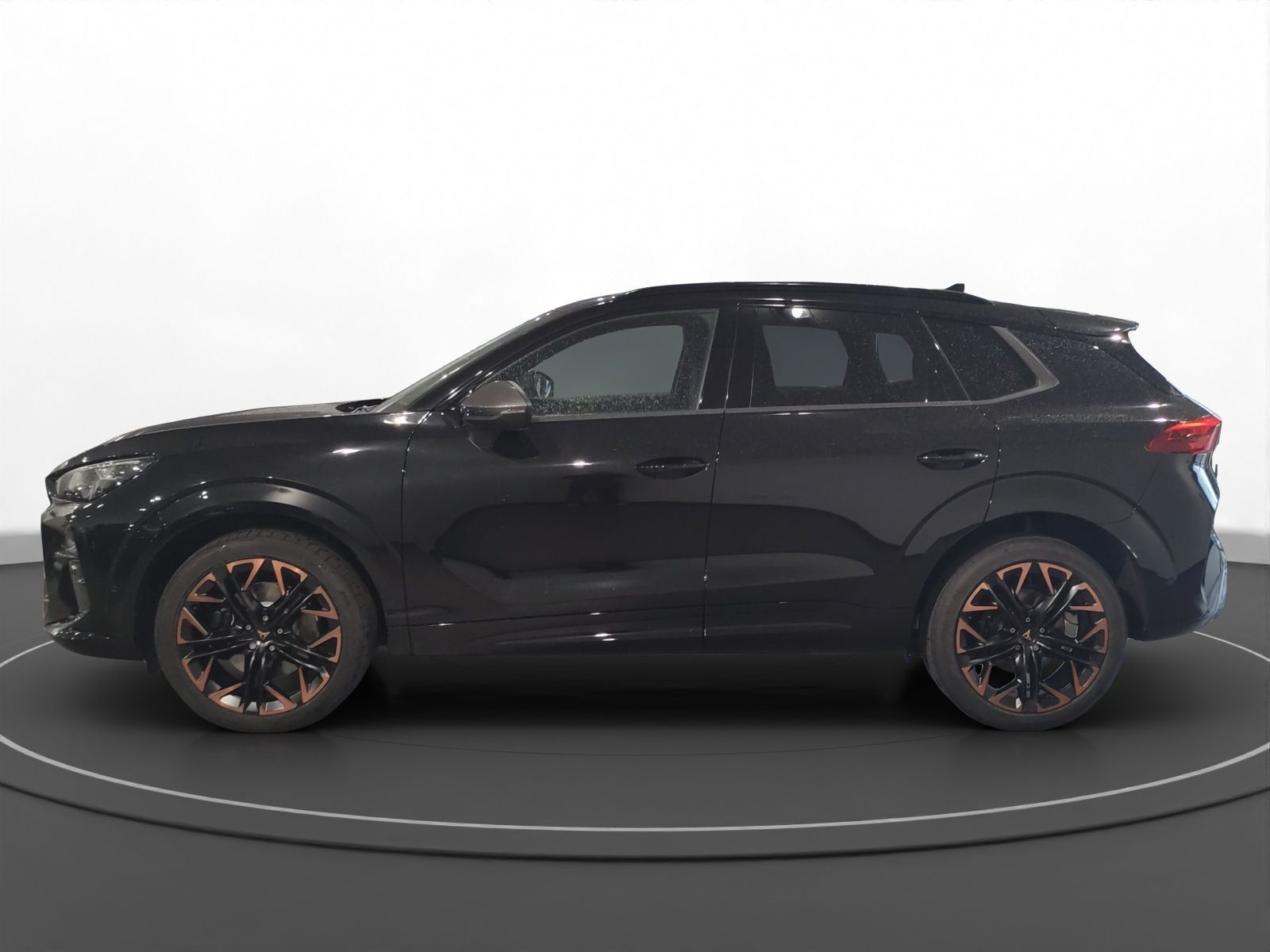 Cupra Terramar - Bild 6