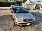 Fiat Punto Classic 1.2 5 porte Dynamic NEOPATENT - Fiat Punto: Classic