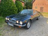 Jaguar XJ12 - blaue Jaguar XJ12