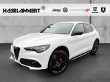 Alfa Romeo Stelvio Veloce Q4 2.0 PDC+KAMERA+NAVI+CARPLAY+SH - Alfa Romeo Stelvio Neuwagen