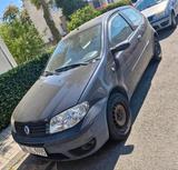 Fiat Punto 1.2 -  Benzin, TÜV -  Ende 2026... - Fiat Punto in Mainz