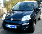 Fiat Panda 1.2 More - Fiat Panda: More