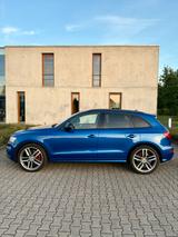 Audi SQ5 3.0 TDI competition Tiptronic Quattro - Audi Gebrauchtwagen in Wesel