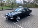 Jaguar XJ8 4.2 Liter Executive Executive - Jaguar XJ8 Gebrauchtwagen
