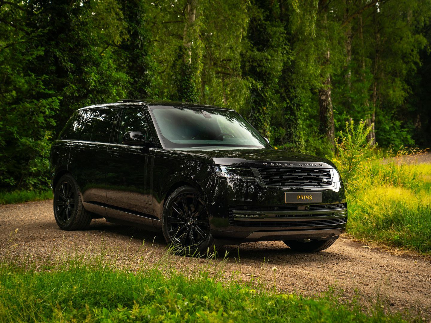 Land Rover Range Rover 3.0 P550e Autobiography PHEV | Merid imagem 3