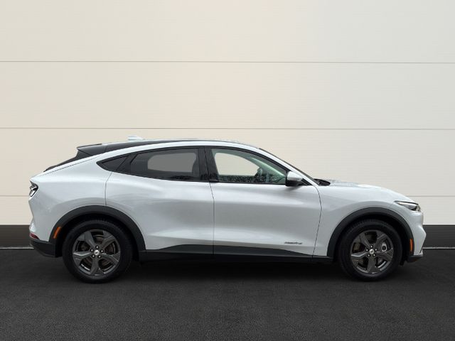 Ford Mustang MACH-E Basis ACC+Klima+Navi+Winter-Paket