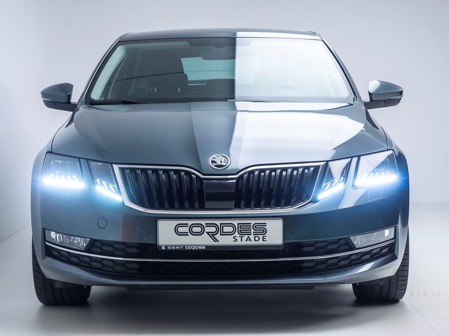 Skoda Octavia Style AUTOMATIK WINTERPAKET NAVI  (GW91)