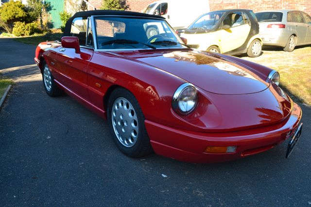 Alfa Romeo Spider *Old Timer*Wenig Kilometer*Leder*