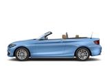 BMW 220 d Cabrio Luxury Line Harman Kardon Kamera - blaue BMW 220