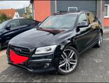 Audi SQ5 3.0 TDI plus tiptronic quattro - Blackedit - Audi SQ5 in Bielefeld