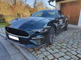 Ford Mustang 5.0 V8 Bullitt, wenig km, unfallfrei