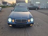 Mercedes-Benz CLK 230 KOMPRESSOR ELEGANCE - Mercedes-Benz CLK 230 aus 1999: Kompressor