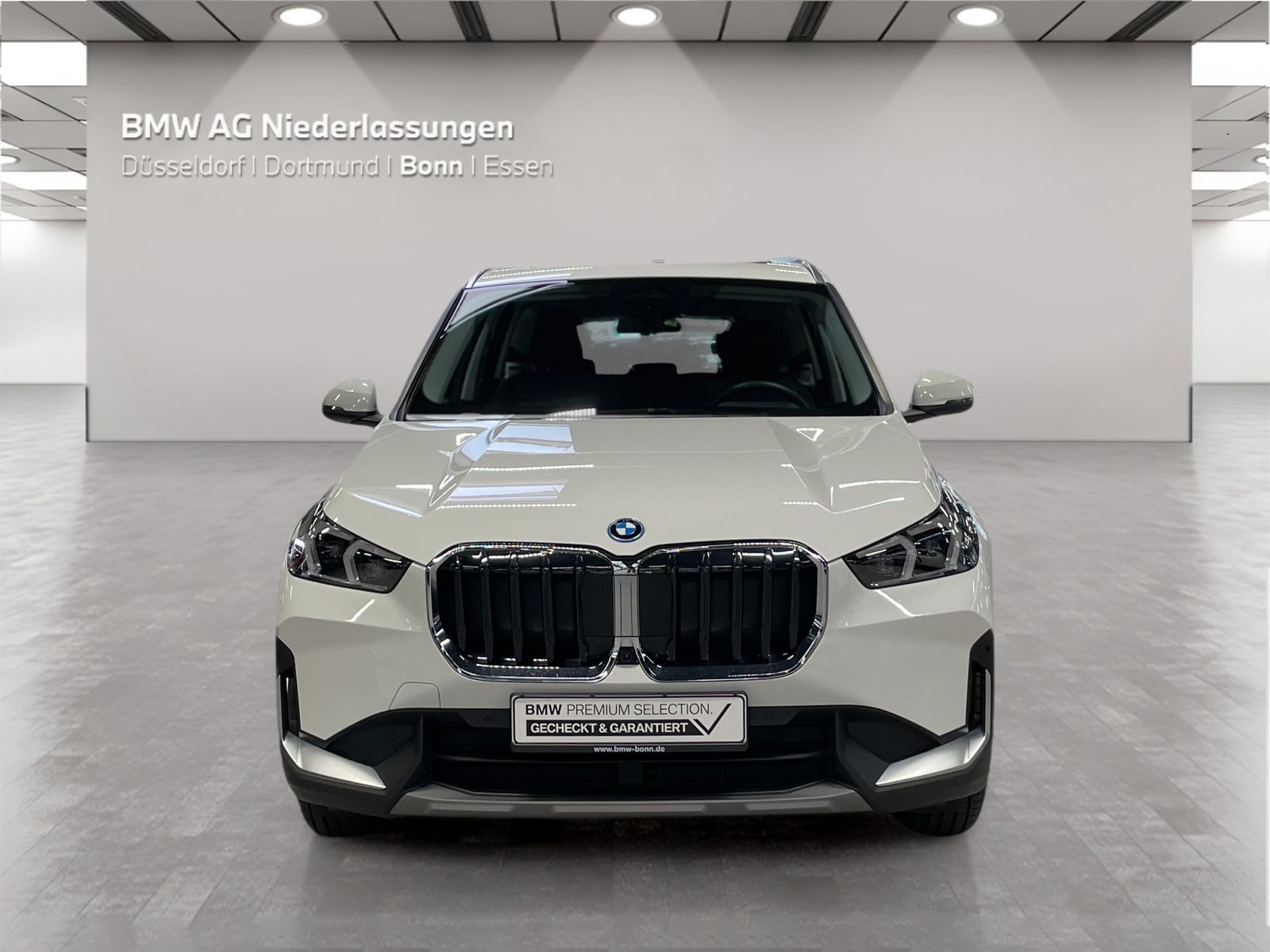 BMW X1 xDrive30e LiveCockpitProf Head-Up Kamera LED foto 6
