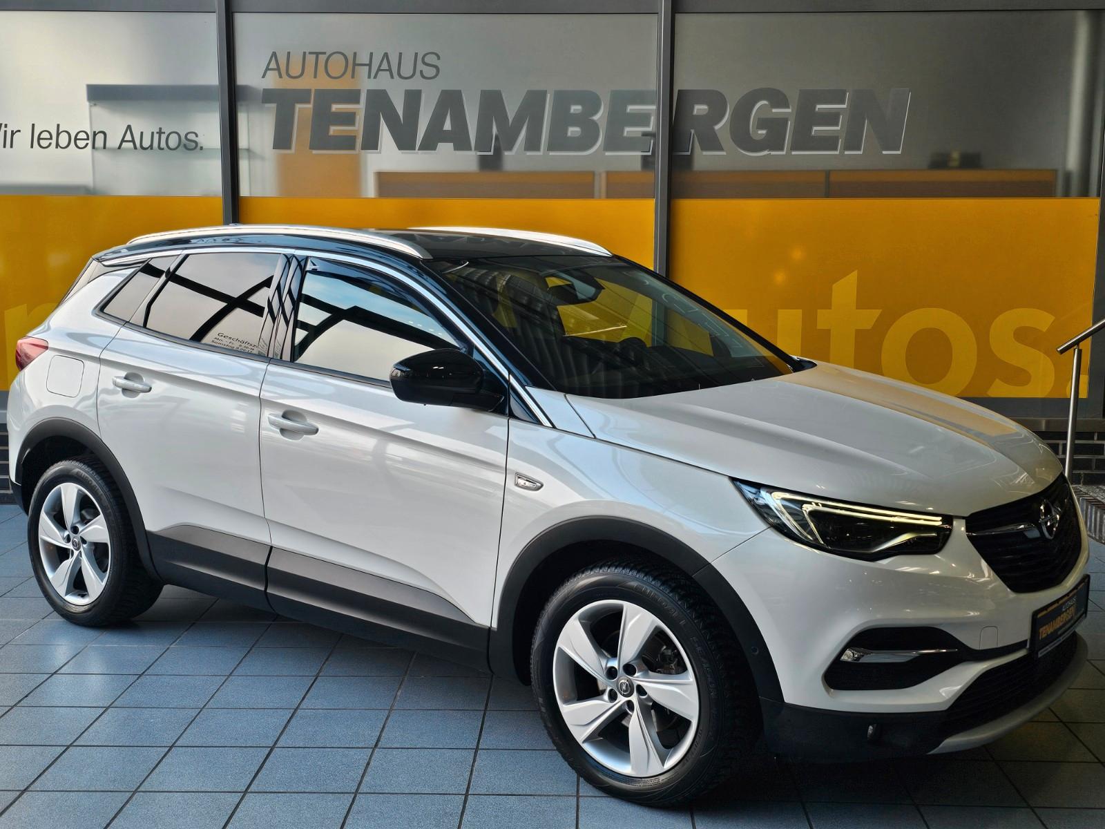 Opel Grandland X AHK SHZ v+h Kamera Denon Totwinkelwa